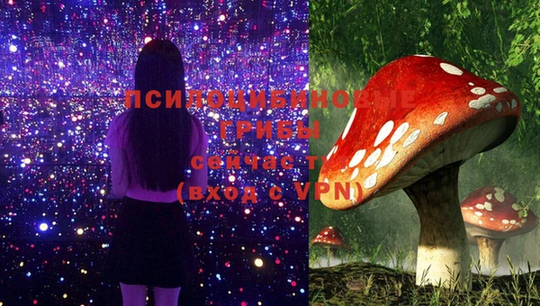 скорость Баксан