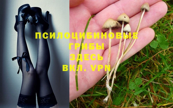 скорость Баксан