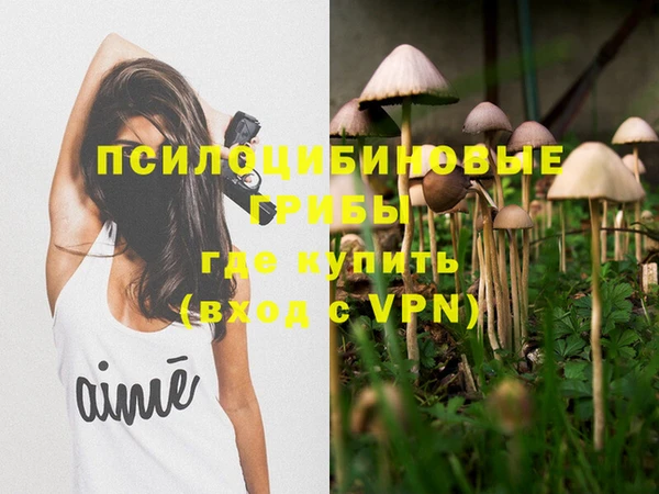 скорость Баксан