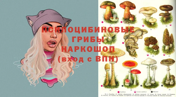 стаф Балабаново