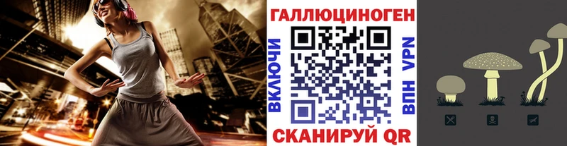 Галлюциногенные грибы Magic Shrooms  Чаплыгин 